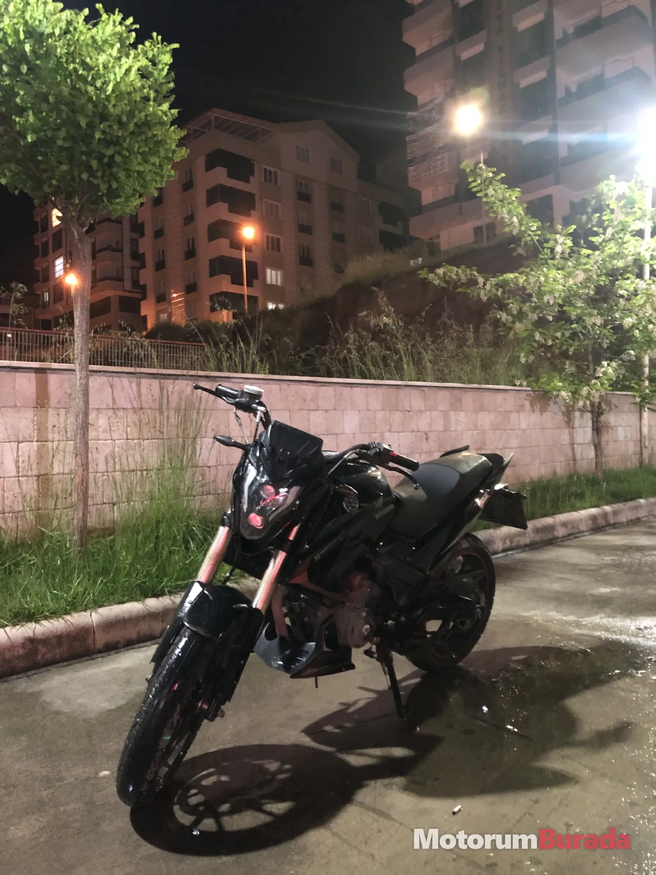 FALCON SALVADOR S188
