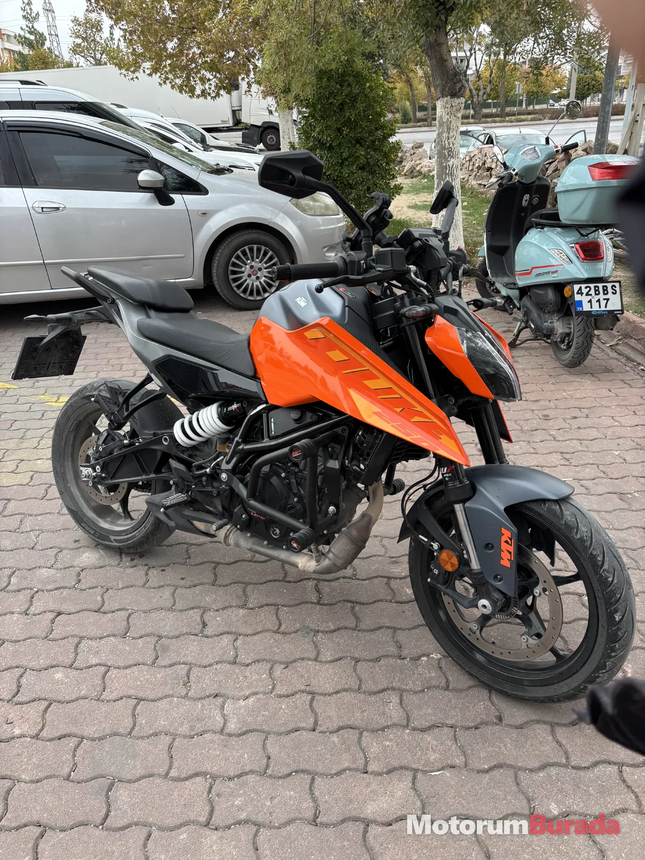 Önizleme 2