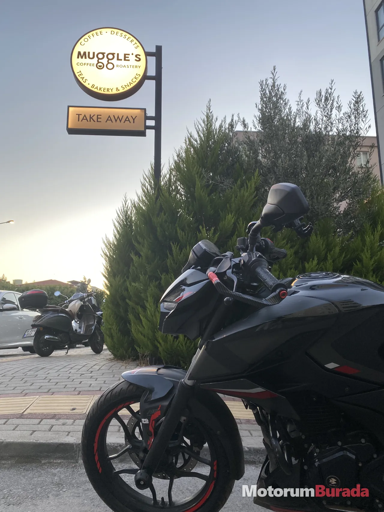 Önizleme 4