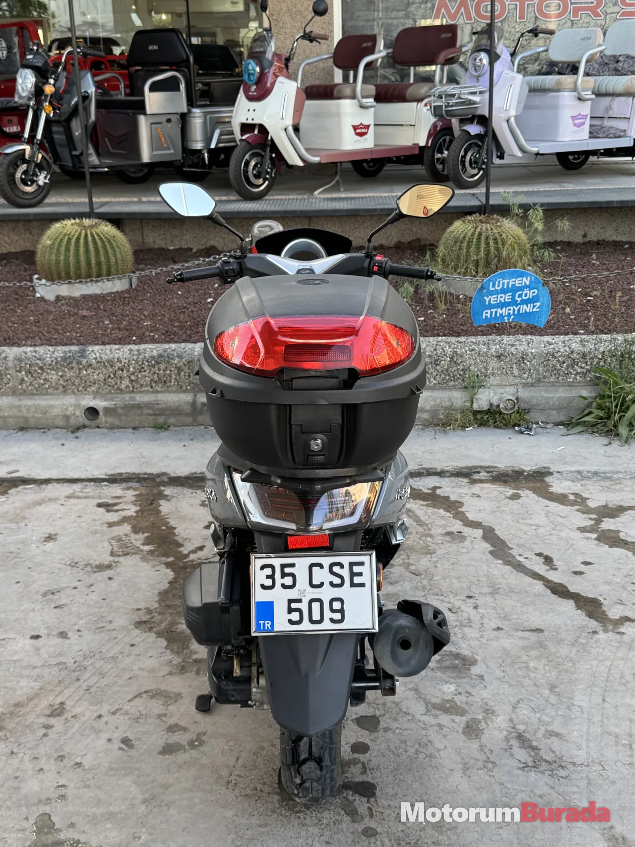 Önizleme 4